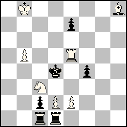 Rb8 Pb5 Pd2 Pe2 Te5 Fh8 Cc3 + Rd4 Pc2 Pe7 Pf4 Tc1 Td1