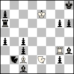 Re7 Tg3 Fc2 Ne2 + Rh8 Pa7 Pa4 Pc4 Pc3 Pg6 Pg2 Ph6 Ta6 Fc1 Fh3 Nb2